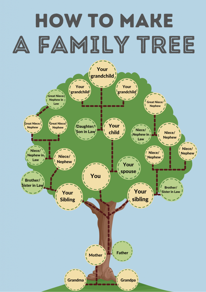 Building Your Family Tree: A Journey of Discovery